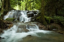 Waterfall Near Krabi In Thailand Waterfall Near Krabi In Thailand